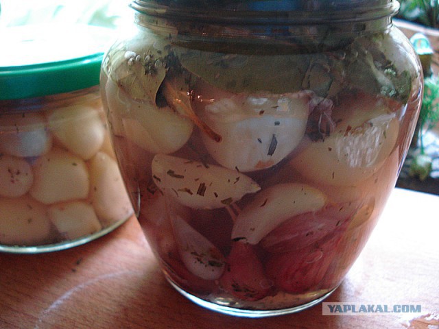 Готовимся к войне с вампирами. Время пришло