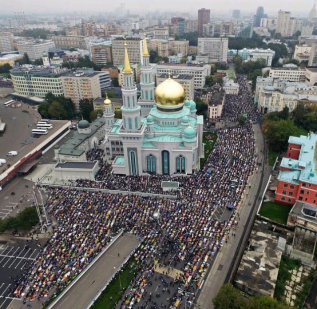 Порция картинок