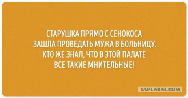 Юмор не для всех