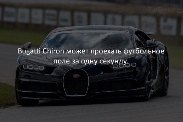 40 интересных фактов в картинках.