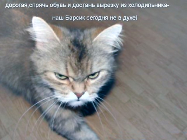 К звездам
