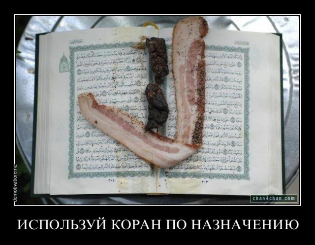 Porque los musulmanes no comen cerdo
