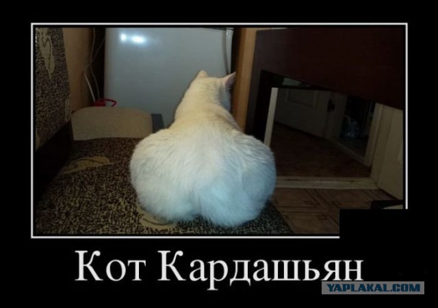Веселая подборка демотиваторов