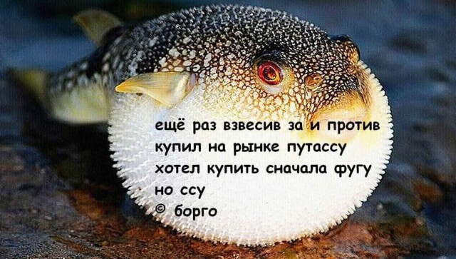 Тупанём?
