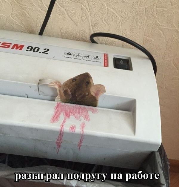 Подборка фотоприколов