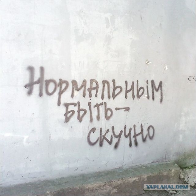 «Бродячие» философы: 17 глубокомысленных заметок в транспорте и на улицах