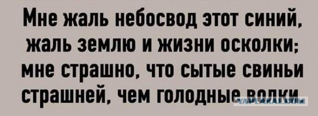 Беспредел в волгоградском колледже