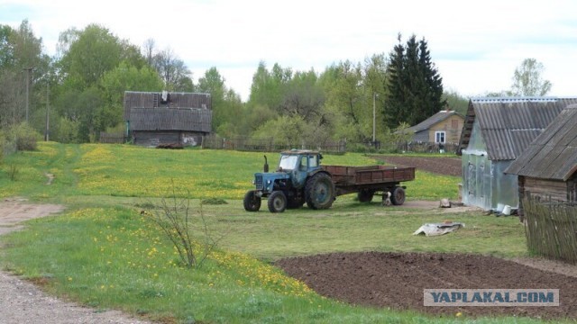 Вымирающие деревни Смоленской области. Микулино и Любавичи