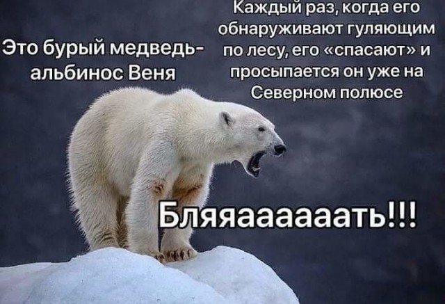 Немного картинок ниочом