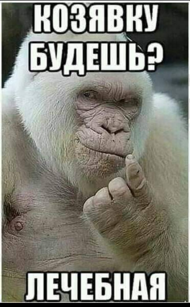 Бредзона 15.09.2020