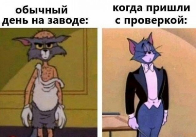 К нам приехал Мишустин