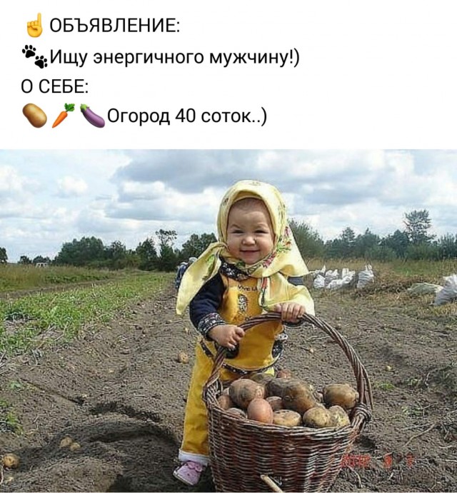 Веселые истории о нас №181