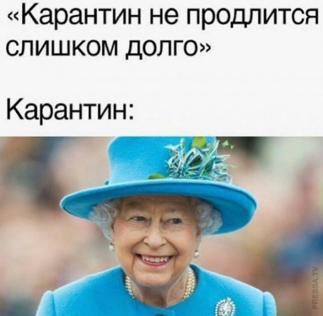 Немного картинок для настроения 18.11.20