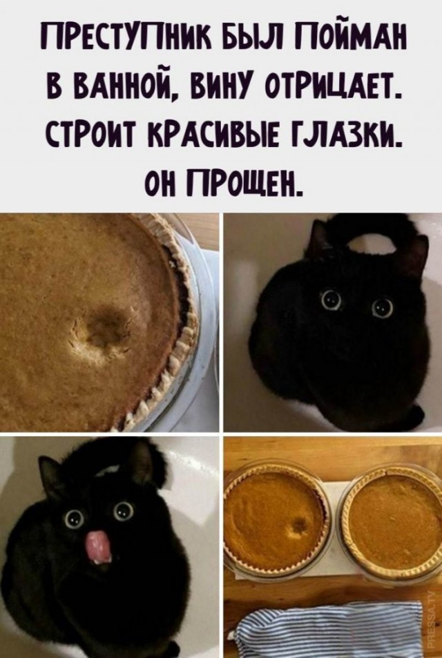 Картинки и мемы для настроения 014