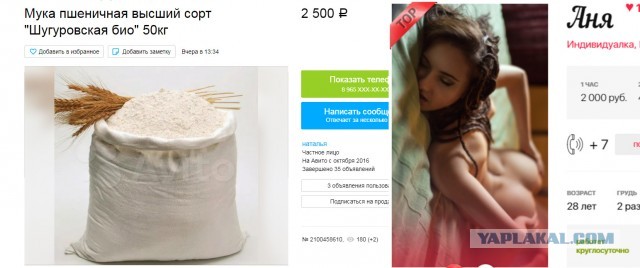Женщины и лыцари двадцать первого века