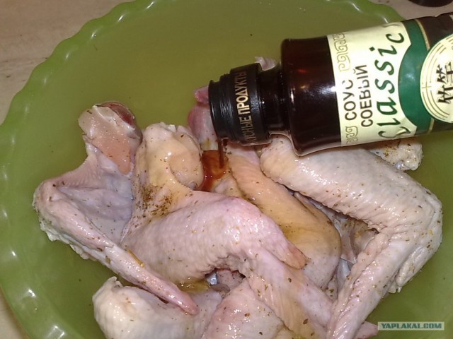 Ноги, хвосты… главное – крылья!, Кура-International–2, куриные крылья