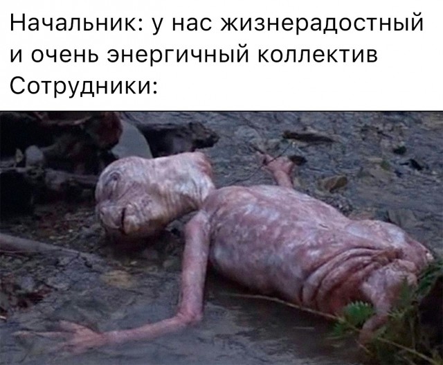 Весёлый полтишок 17.06.