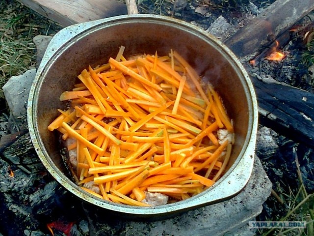 Пловские старания, ... эпическое полотно о Плове...