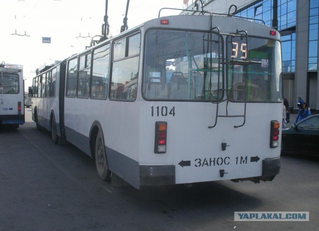Новичок на подиуме