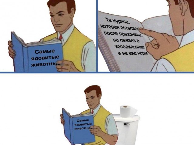 Так себе картинки 11.08.21