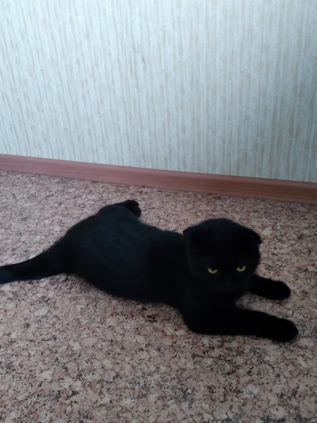 Здравствуйте