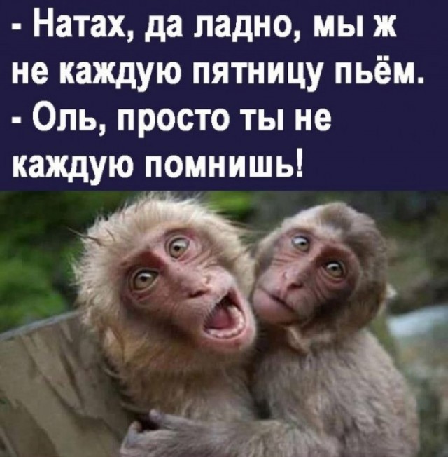 Алкобаяны на пятницу