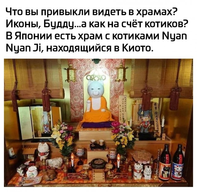 Так себе картинки 19.10.21