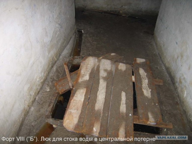 Форты Бреста