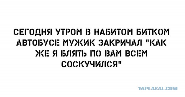Весёлый полтишок 10.01