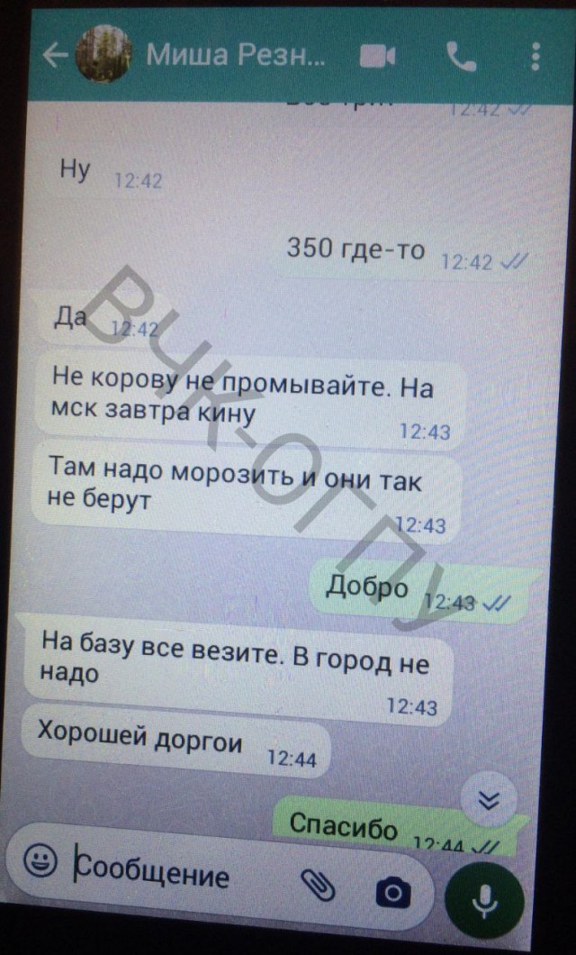 Вам медвежатины? Сейчас организуем