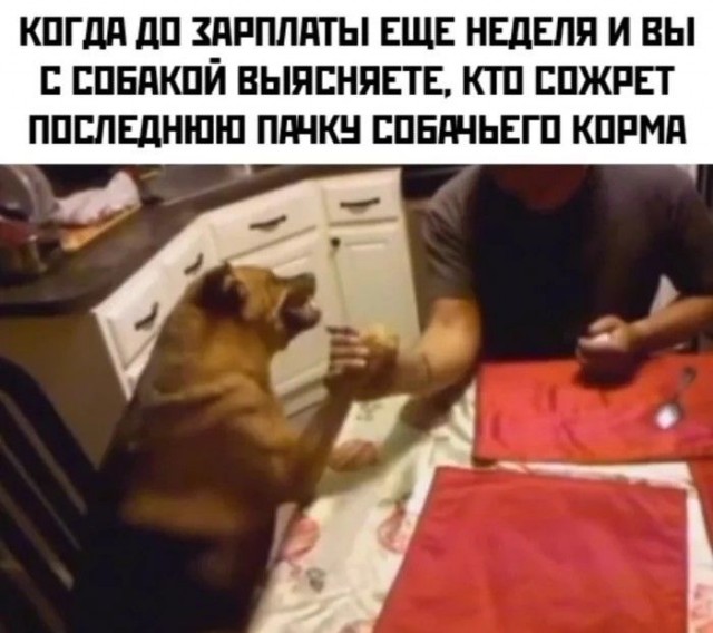 Фигня приходит в полночь, дорогие деграданты