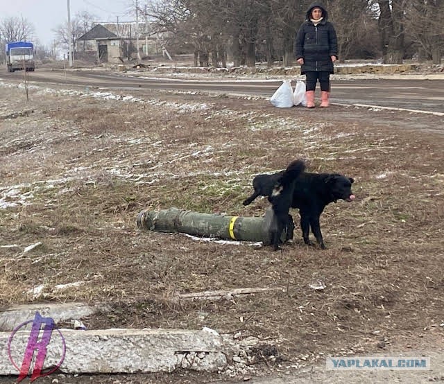 Донбасская собака и остатки ленд-лиза США 2022 года