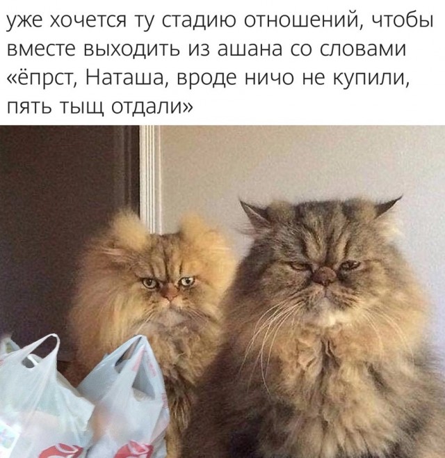 Так себе картинки 18.05.22