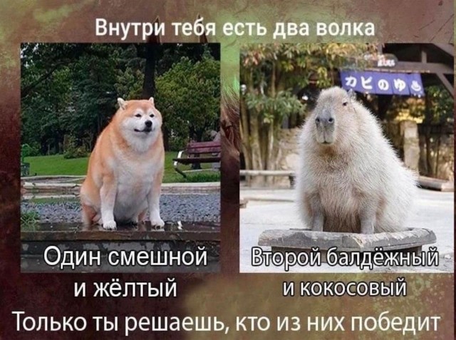 Так себе картинки 11.06.22