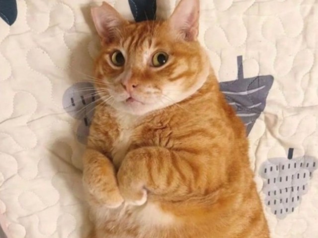 Григорий