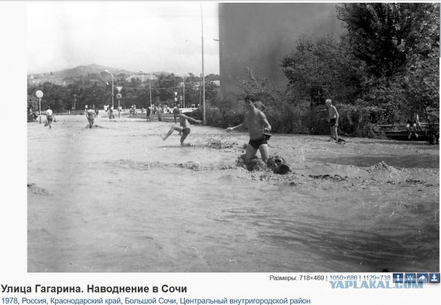 В Сочи беда!