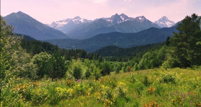 Просто фотки с телефона