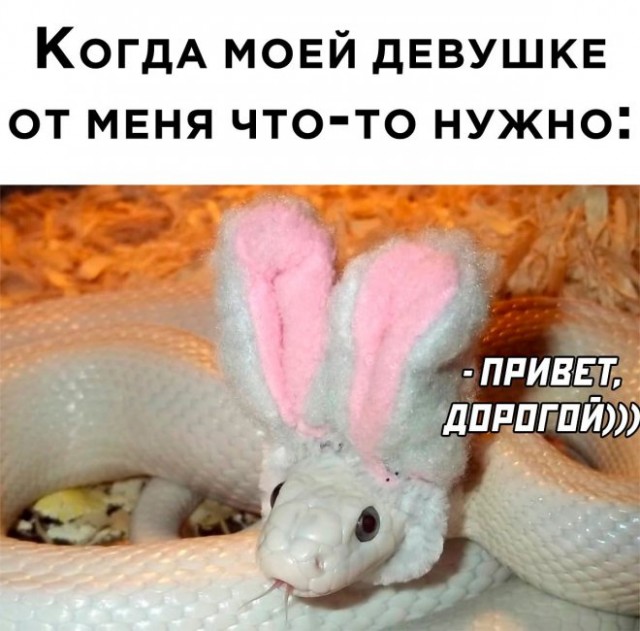 Картинки и мемы для настроения - 119