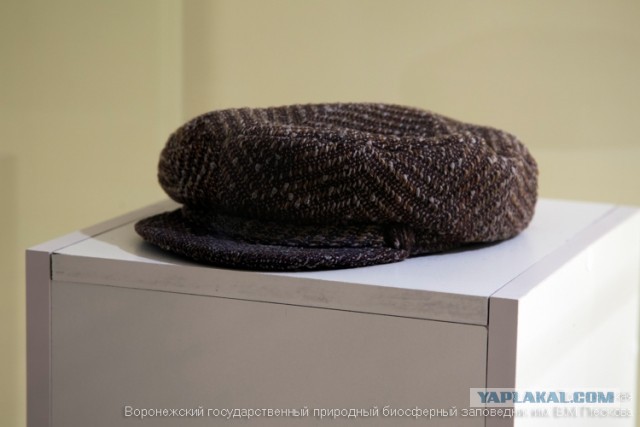 Дорога к бобру