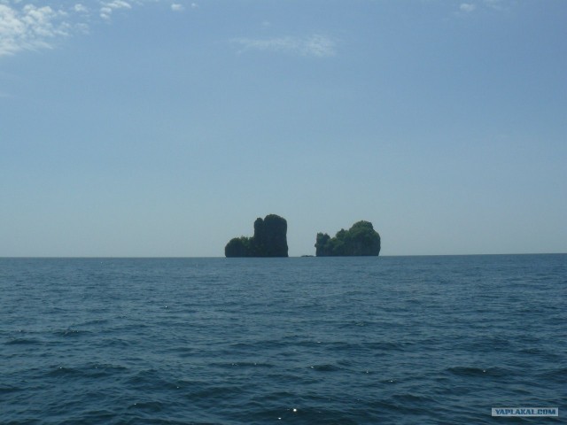 Немного Тая