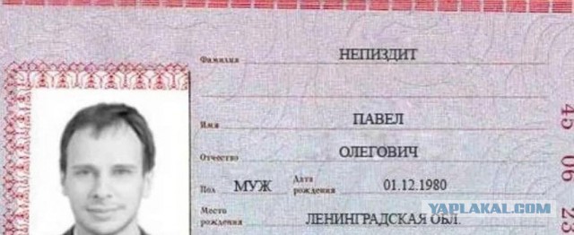 1000 дней трезвости.
