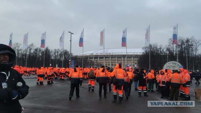 Митинг-концерт в «Лужниках» 22 февраля — во сколько смотреть, кто выступает