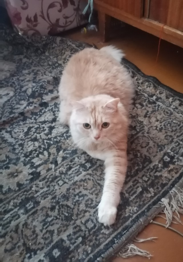Дождалась