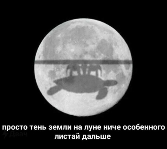 Так себе картинки 30.03.23