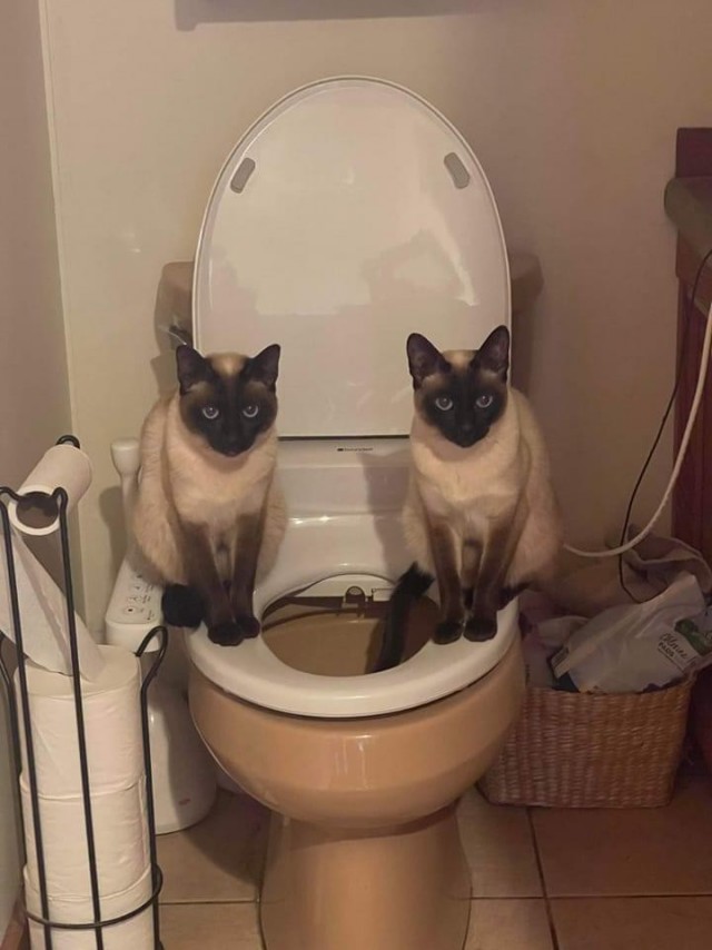 Подборка интересных и прикольных фото из Сети 01.04.23