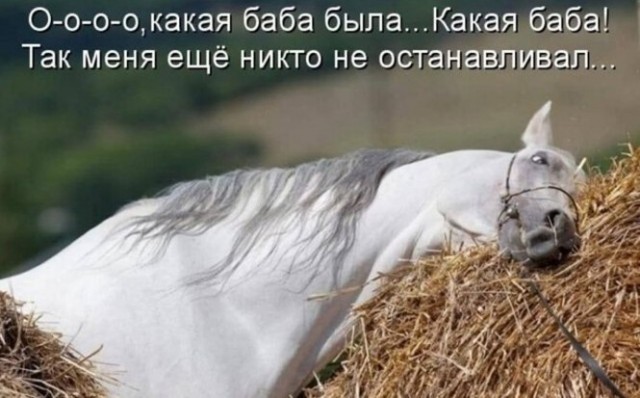 Нуштош 14.04.2023