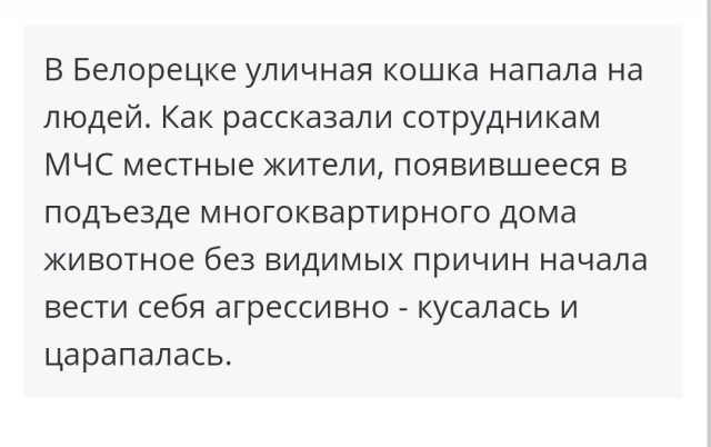 Стафорд покусал до смерти своего хозяина