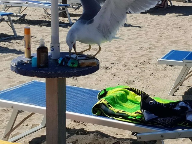 Подборка интересных и веселых картинок