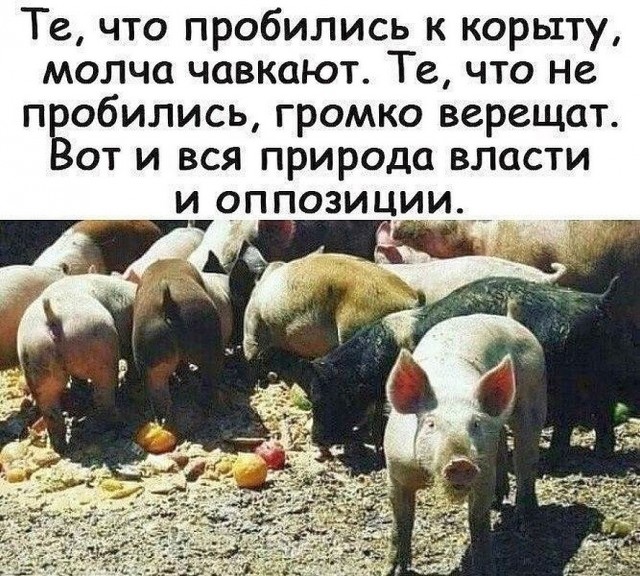 Притихший Алексей Серебряков