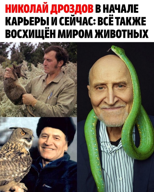 Так себе картинки 06.10.23